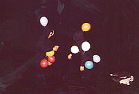 �ʐ^�Q�i���F�{���A�E�F���B�j